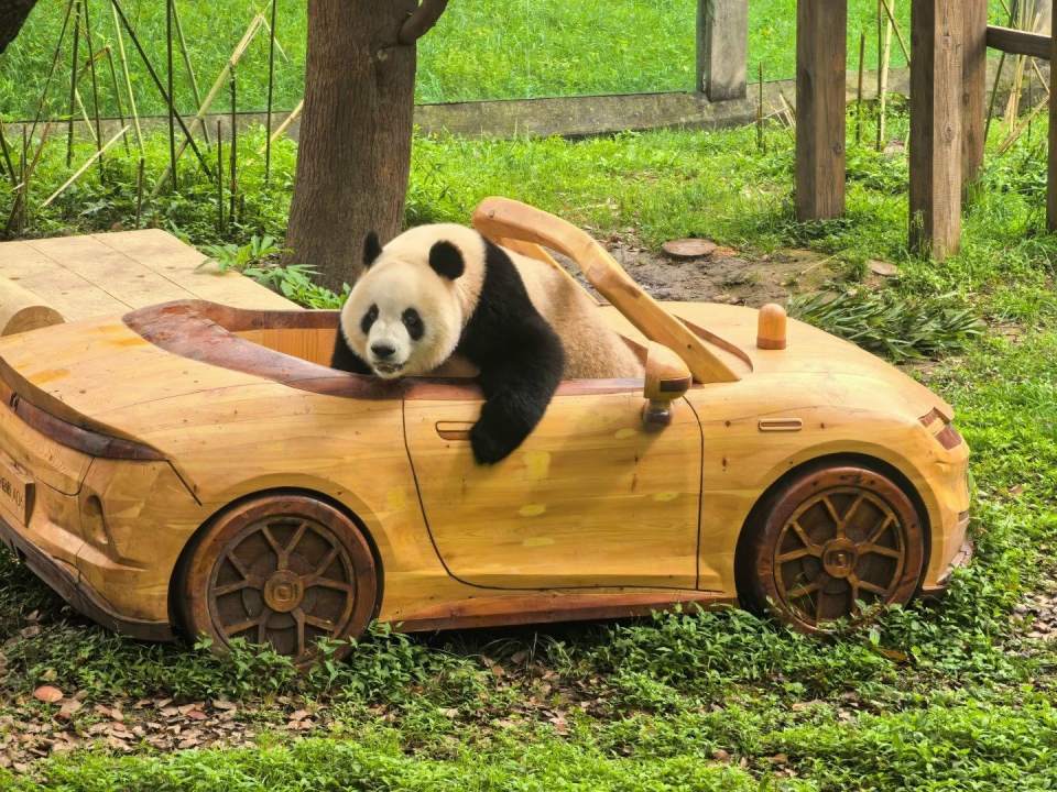 主图